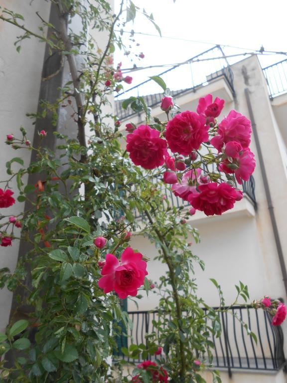 شقة شيكلي  في Canton Delle Rose المظهر الخارجي الصورة